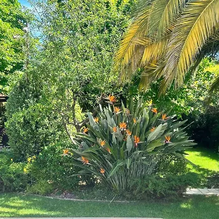 Apartamento Luxury Giardini D'oriente &
